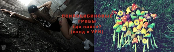 мдпв Каменск-Шахтинский