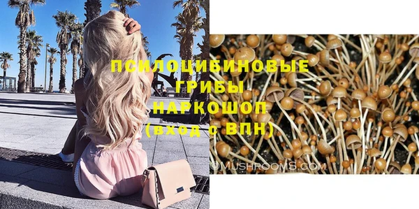 мдпв Каменск-Шахтинский